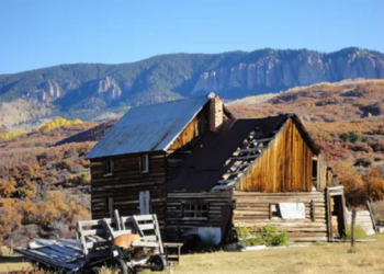 Small Business Opportunities in Colorado