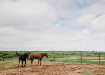 Bloomberg bought the ranch a month after dropping out of the presidential race