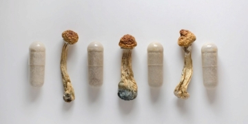 The value of mushrooms for health: microdosing with medicinal mushrooms