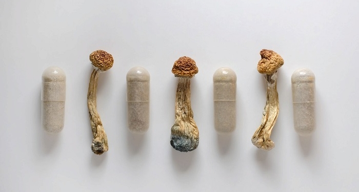 The value of mushrooms for health: microdosing with medicinal mushrooms