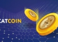 Decoding CATCOIN’s price behavior: insights for MEXC traders