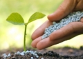 Wholesale chemical products and fertilizers