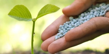 Wholesale chemical products and fertilizers