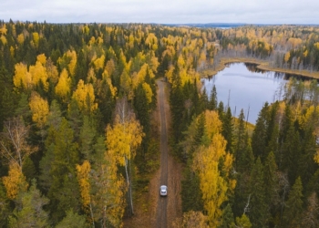 From stress to serenity: how the right scent can change your drive